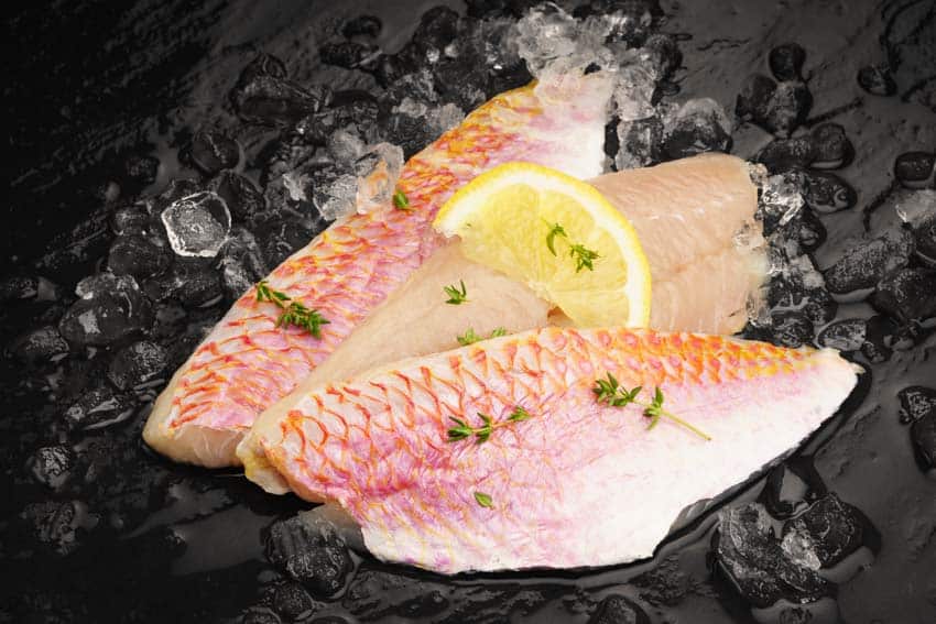 Meerbarbenfilet mit Haut