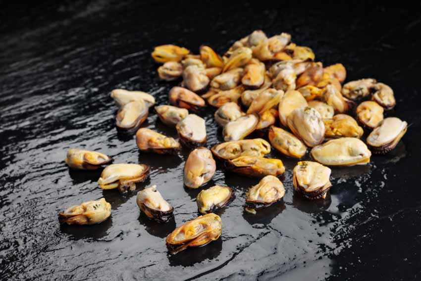 Miesmuschelfleisch