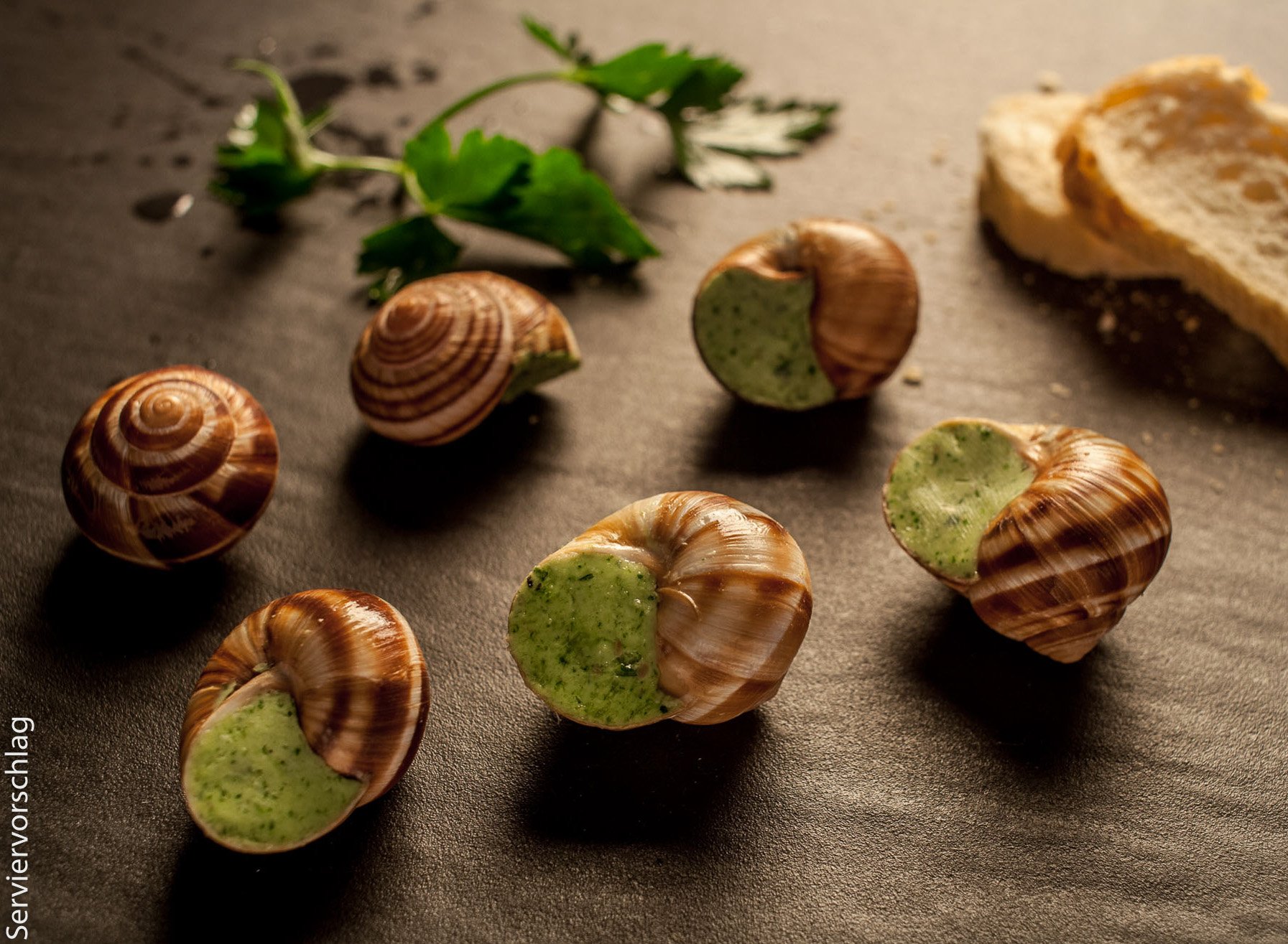 Schnecken in Kräuterbutter 48 Stück