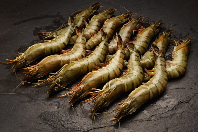 21/30 Black Tiger Gambas / Riesengarnelen mit Kopf und Schale
