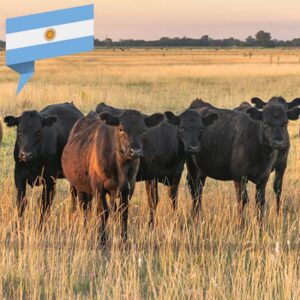 Argentinien