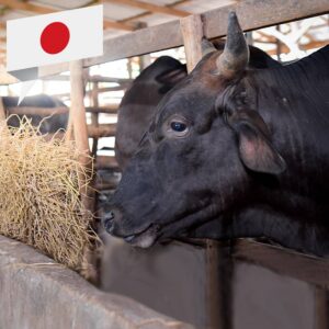 Japanisches Wagyu