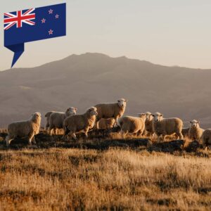 Neuseeland