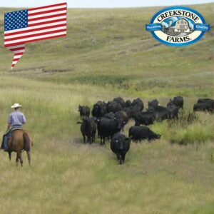U S A - Black Angus