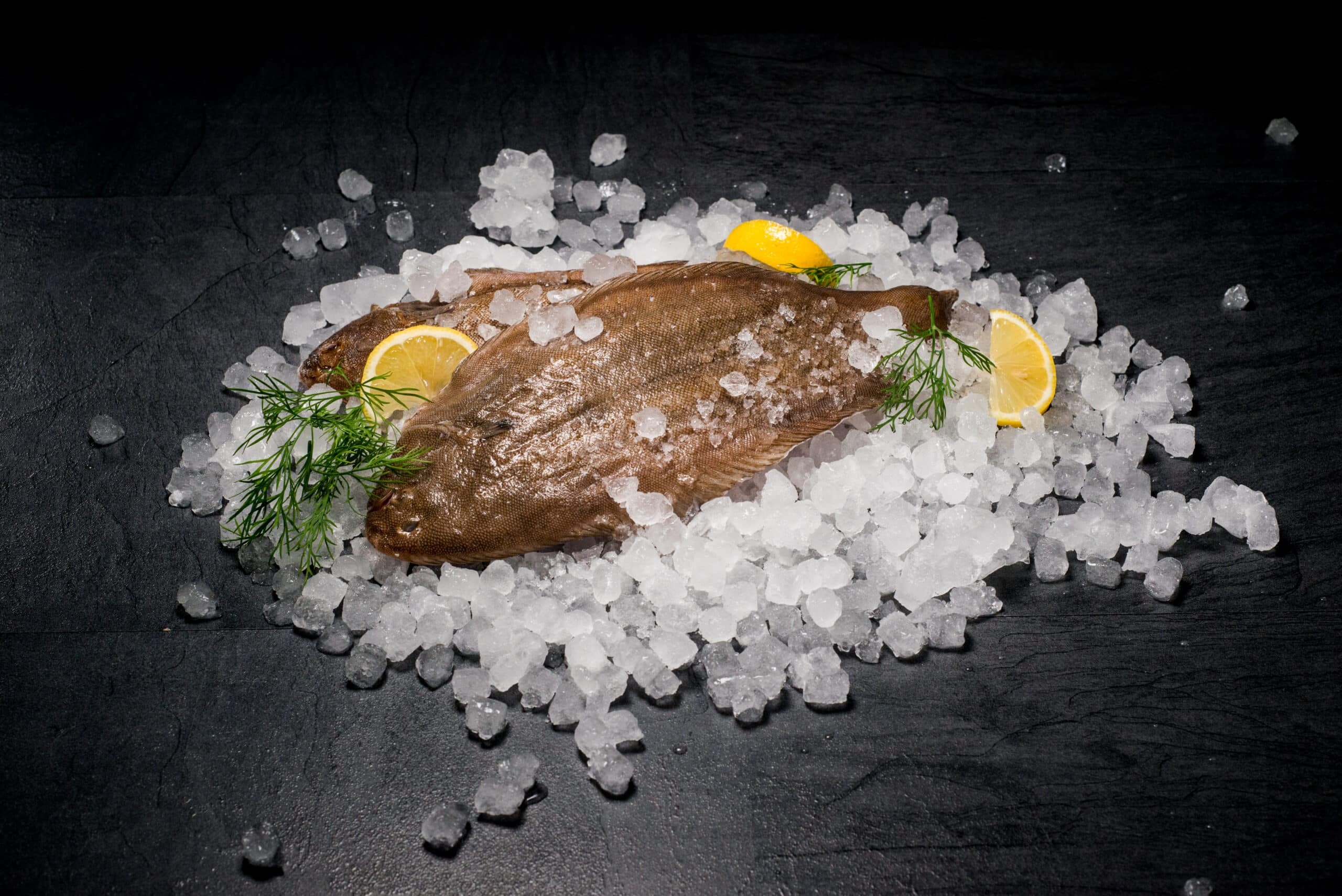 Ganze Nordsee Seezunge mit Haut, aus Wildfang